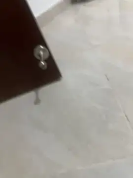 Naughty arabs online show from January 7, 2025, 11:24 pm