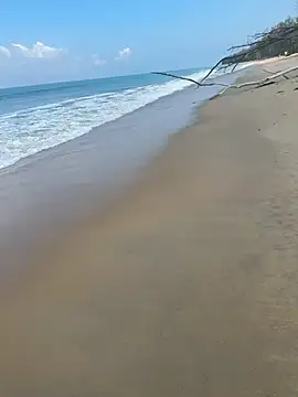 Snapshot of sexntease chatting on March 5, 2025, 3:08 am sexntease online show from March 5, 2025, 3:08 am