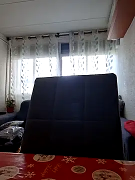 Javier bear online show from February 22, 2026, 9:52 am