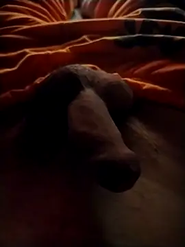 Luiz 097 online show from September 13, 2025, 6:46 am