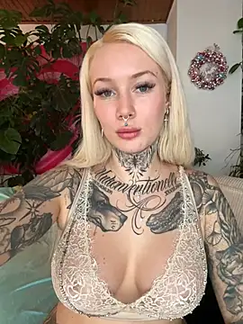 Snapshot of Stella-Kink chatting on December 14, 2024, 12:33 pm Stella-Kink online show from December 14, 2024, 12:33 pm