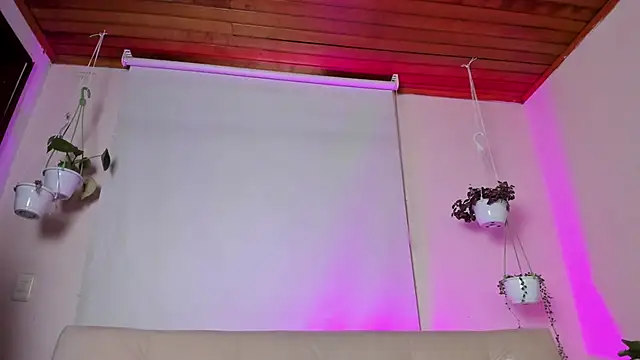 roselinedior online show from January 20, 2025, 4:01 pm