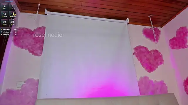 roselinedior online show from February 25, 2025, 8:19 pm