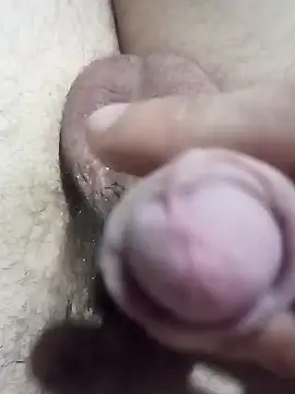 El22 1431 online show from December 22, 2024, 4:06 am