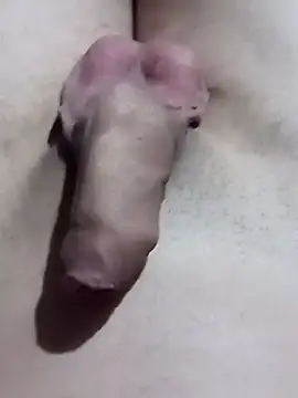 El22 1431 online show from January 17, 2025, 4:39 am