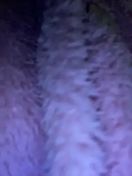 TrenaAnne online show from March 21, 2025, 4:28 am