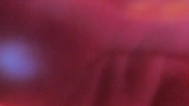 Samaantha-White online show from December 22, 2025, 11:40 am