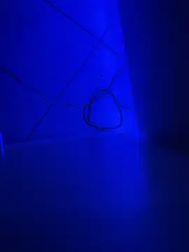 Snapshot of Bennyben8604 chatting on December 7, 2024, 9:11 pm Bennyben8604 online show from December 7, 2024, 9:11 pm