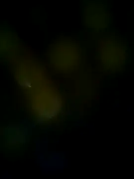 LongDickZee562 online show from March 8, 2025, 10:11 am