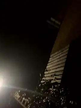 jent59 online show from January 17, 2026, 2:16 am