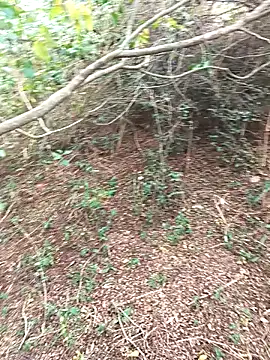 HathodaTyagi123 online show from December 8, 2024, 7:37 am