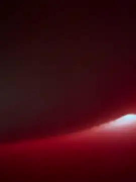 Snapshot of SeiGeilUndFrei chatting on February 14, 2026, 8:55 am SeiGeilUndFrei online show from February 14, 2026, 8:55 am