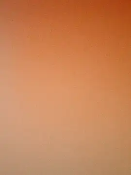 zhenzhen521 online show from November 9, 2025, 2:48 pm