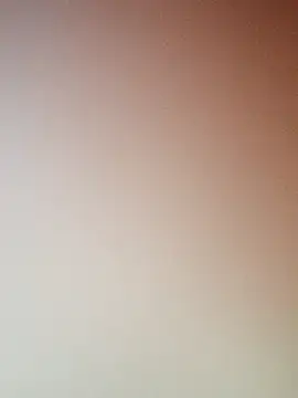 zhenzhen521 online show from January 18, 2026, 12:31 pm