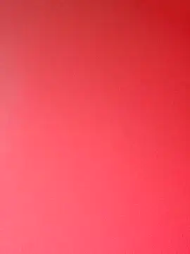 zhenzhen521 online show from February 1, 2026, 2:48 pm