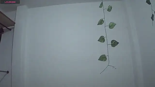 Snapshot of stephybrowm7 chatting on October 28, 2025, 5:37 pm stephybrowm7 online show from October 28, 2025, 5:37 pm