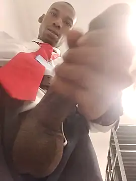 moro28vergon online show from February 9, 2026, 4:16 am