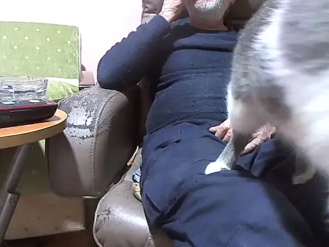 zormen355 online show from April 7, 2026, 6:30 pm