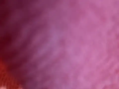 Snapshot of Amarok39 chatting on October 18, 2025, 7:47 pm Amarok39 online show from October 18, 2025, 7:47 pm