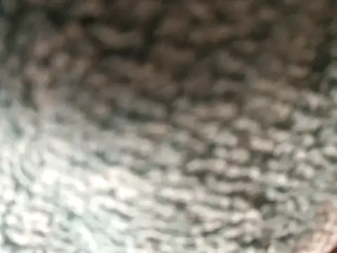 Snapshot of Amarok39 chatting on December 16, 2025, 3:06 pm Amarok39 online show from December 16, 2025, 3:06 pm