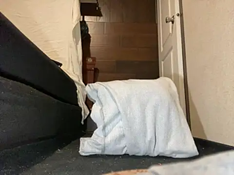 Snapshot of Amarok39 chatting on February 9, 2026, 1:20 am Amarok39 online show from February 9, 2026, 1:20 am