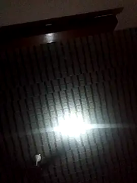 Blackpenis28 online show from February 1, 2026, 10:36 am