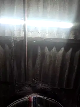 HotSexyBoudi online show from November 15, 2025, 9:06 am