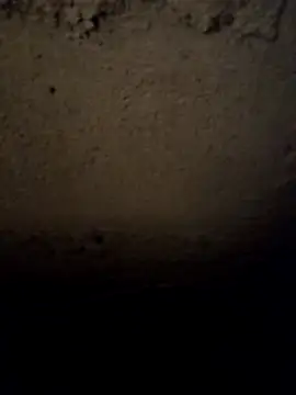 Snapshot of camila_picante chatting on March 31, 2026, 3:56 pm camila picante online show from March 31, 2026, 3:56 pm