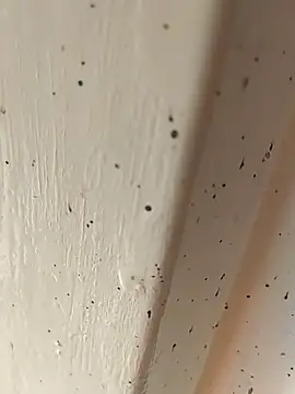 Snapshot of camila_picante chatting on April 4, 2026, 2:47 pm camila picante online show from April 4, 2026, 2:47 pm