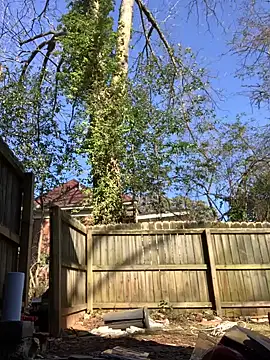 Snapshot of trash4cash chatting on January 28, 2025, 8:04 pm trash4cash online show from January 28, 2025, 8:04 pm