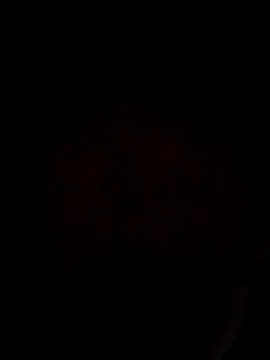 ySqmbVanbe online show from March 31, 2026, 3:08 am