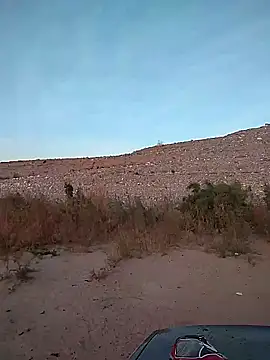 FloppyPickle4u online show from February 2, 2025, 2:56 pm