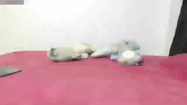 Snapshot of Mayte_sexy chatting on February 21, 2025, 12:16 am Mayte sexy online show from February 21, 2025, 12:16 am