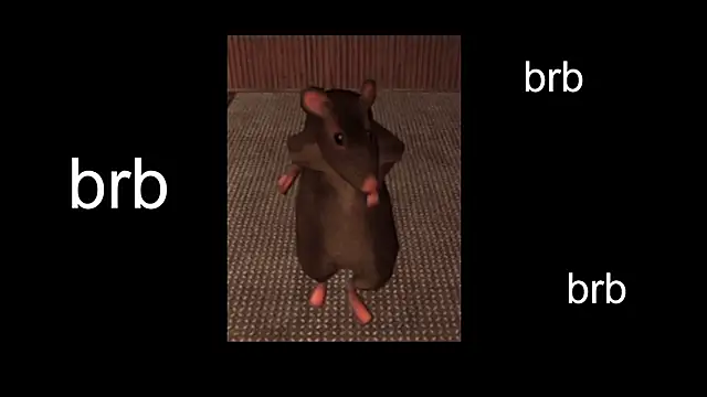 Sam Mystery online show from February 11, 2025, 1:51 pm