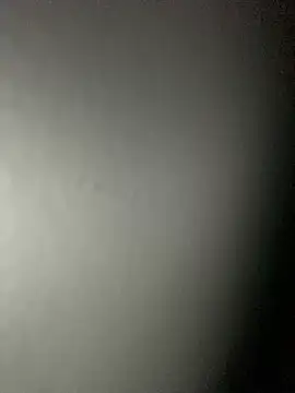 Leyna liu online show from February 4, 2025, 8:46 am