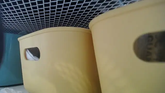 lovense test04 online show from February 27, 2026, 7:30 am