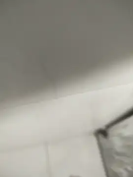 flavio81augusto online show from February 5, 2025, 12:06 pm