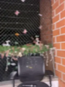 ValerieHilton online show from January 12, 2025, 12:18 am