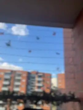 ValerieHilton online show from January 18, 2025, 9:45 pm