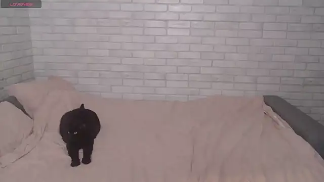 Fuckyoursecretary69 online show from December 9, 2024, 12:19 pm