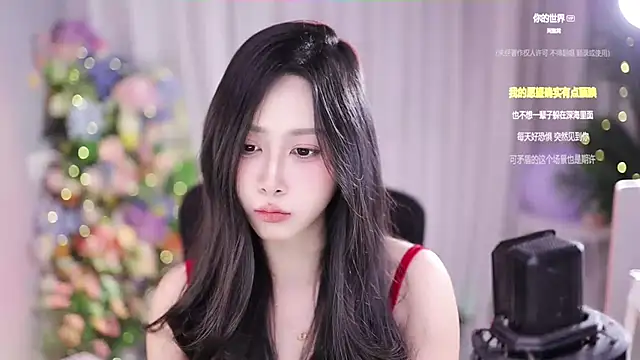 Snapshot of SleepArtist chatting on January 6, 2025, 4:02 pm SleepArtist online show from January 6, 2025, 4:02 pm