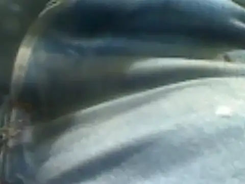 Snapshot of markluvskitty chatting on February 7, 2025, 2:15 pm markluvskitty online show from February 7, 2025, 2:15 pm