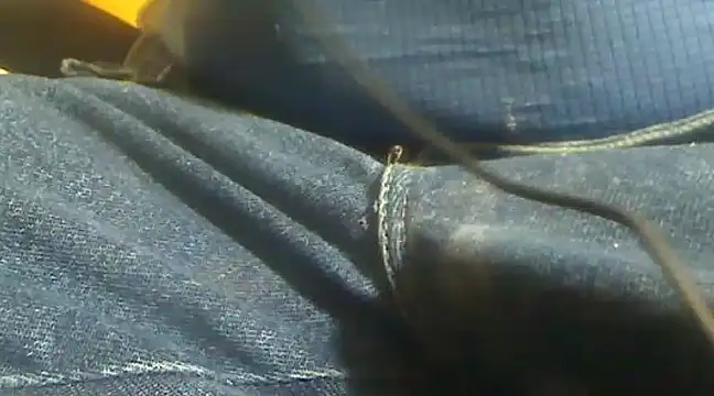 Snapshot of markluvskitty chatting on February 10, 2025, 4:14 pm markluvskitty online show from February 10, 2025, 4:14 pm