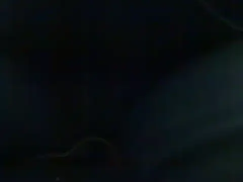 Snapshot of markluvskitty chatting on February 21, 2025, 9:22 pm markluvskitty online show from February 21, 2025, 9:22 pm