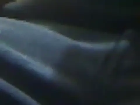 Snapshot of markluvskitty chatting on March 11, 2025, 1:01 pm markluvskitty online show from March 11, 2025, 1:01 pm