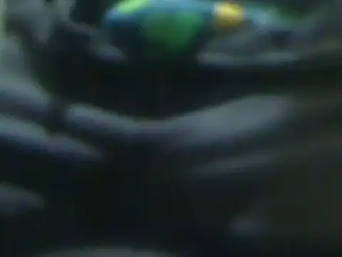 Snapshot of markluvskitty chatting on March 14, 2025, 1:24 pm markluvskitty online show from March 14, 2025, 1:24 pm