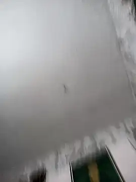 biancchi online show from February 20, 2026, 11:11 am