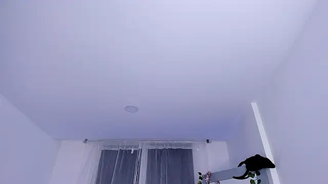  mia collins b  online show from January 29, 2025, 1:48 am