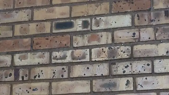 Astoria Moon online show from February 24, 2025, 7:09 pm