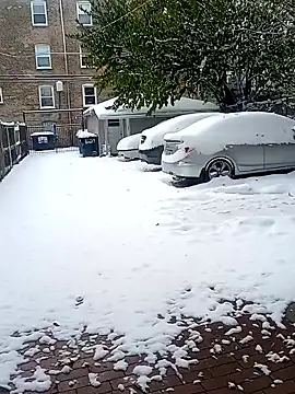 AmazonianMistress online show from November 10, 2025, 7:35 pm